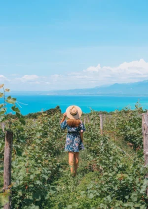 OcoaBay Wine Tours experience